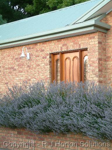 Lavender bank_2 